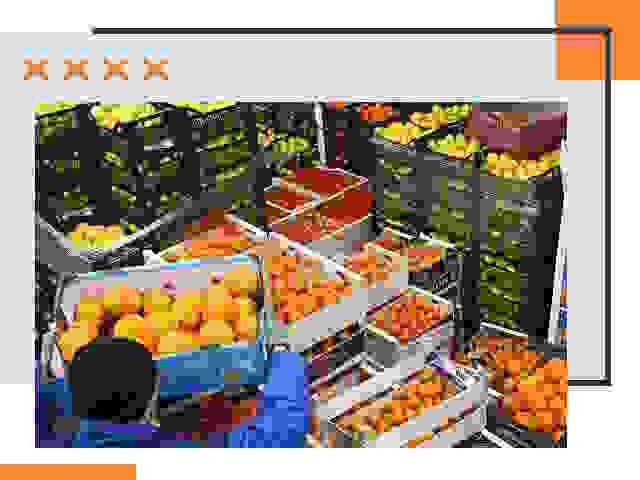 Перевозка скоропортящихся продуктов в Ханты-Мансийске
